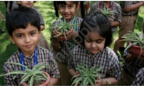 The Indian School — photo 9