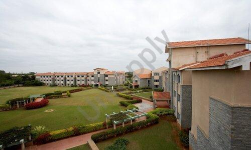The International School Bangalore — photo 5
