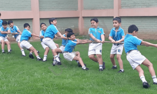 The Millennium School — photo 7