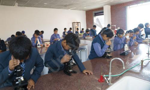 The Modern School — photo 9