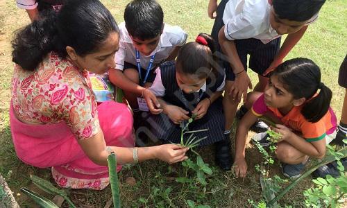 The Navyandhra School — photo 10