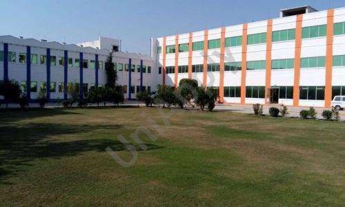 The New Brain Public School — photo 1