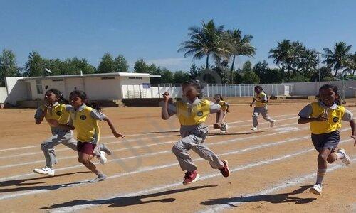 The Polaris International School — photo 9