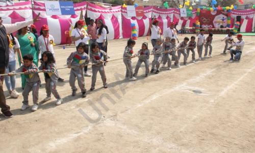 The Pushp World School — photo 13