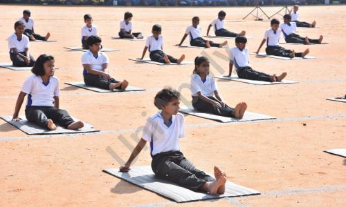 The Samhita Academy — photo 12