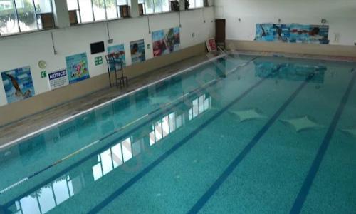 The Satya School — photo 4