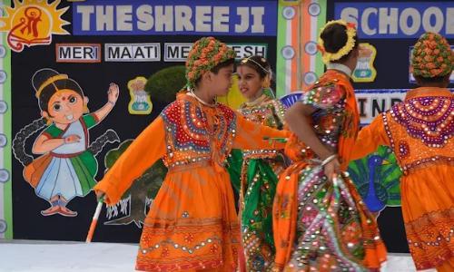 The Shree Ji School — photo 2