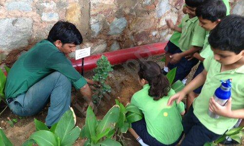 The Shri Ram School — photo 1