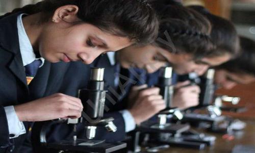 The Vivekanand School — photo 1