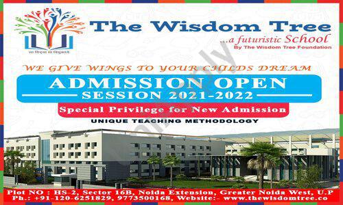 The Wisdom Tree School — photo 14