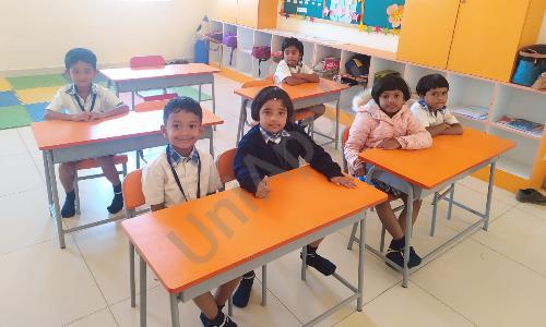 The World School — photo 1