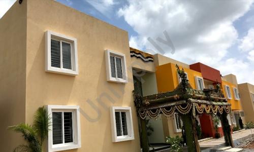 The World School — photo 3