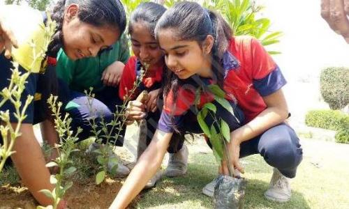 Torch Bearer Convent School — photo 4