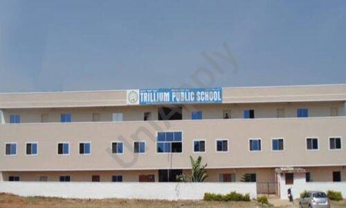 TRILLIUM Public School- Hedge Nagar — photo 1