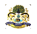 Trinity International School logo