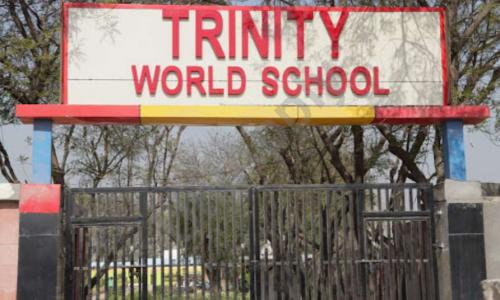 Trinity World School — photo 4
