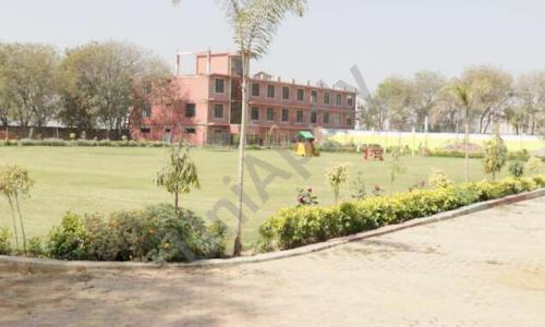 Trinity World School — photo 5