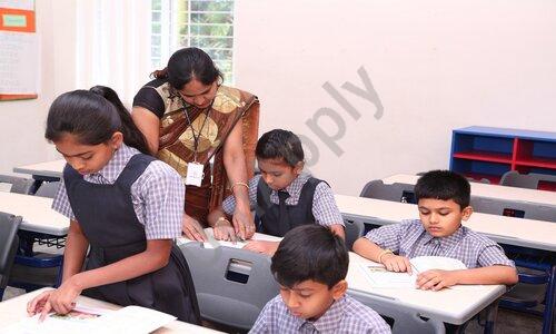 Triumph World School — photo 3