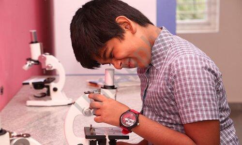 Triumph World School — photo 5