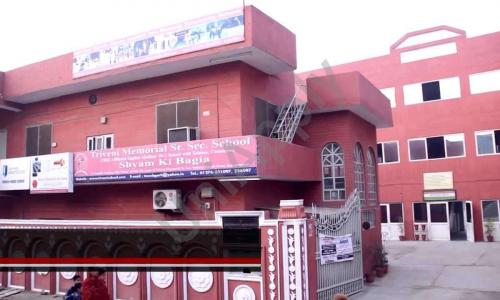 Triveni Memorial Senior Secondary School — photo 1