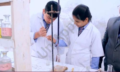 Triveni Memorial Senior Secondary School — photo 4