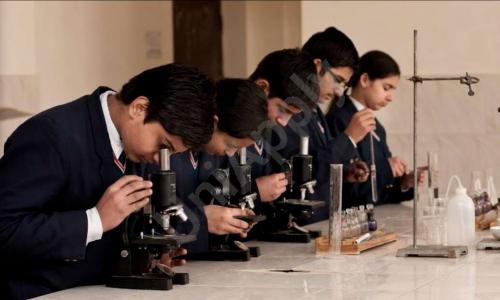 Tulips International School — photo 2