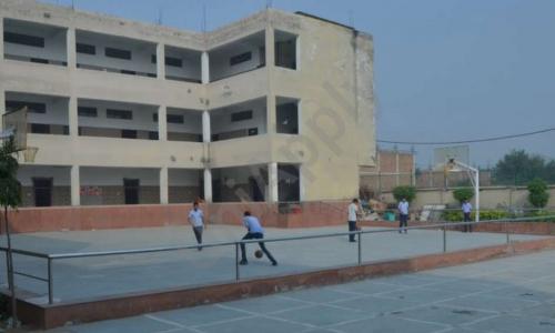 Tulips International School — photo 9