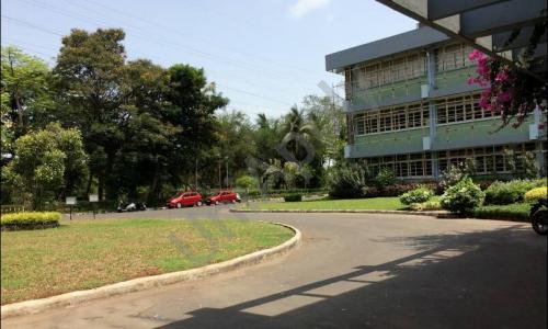 Udayachal High School — photo 2