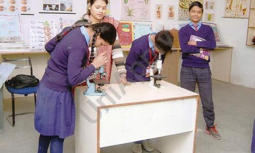 Urmila Vidya Niketan School — photo 8