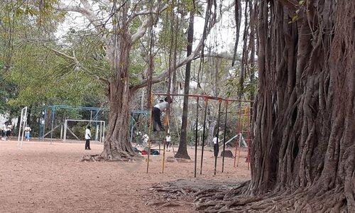 Vana Vani Matriculation Higher Secondary School — photo 9