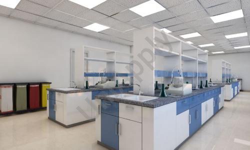 Vega School — photo 2