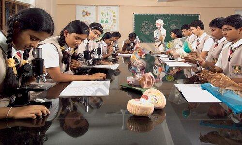 Venus International School — photo 7