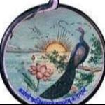 Vidya Bhawan Public School logo
