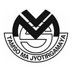 Vidya Mandir Public School logo