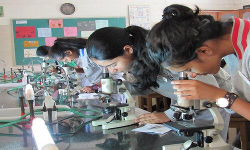 Vidya Niketan School — photo 13