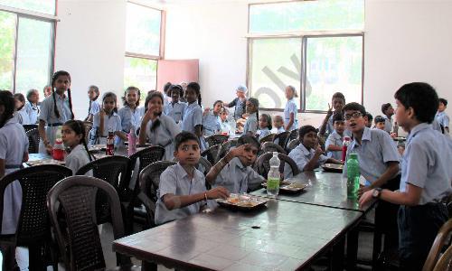 Vidya School — photo 2