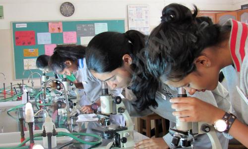 Vidyaniketan School — photo 7