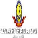 Vidyasagar International Play School logo