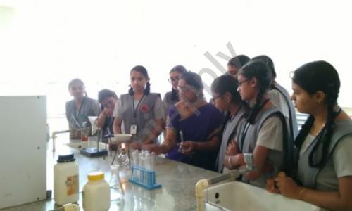 Vijaya Bharathi Vidyalaya — photo 7