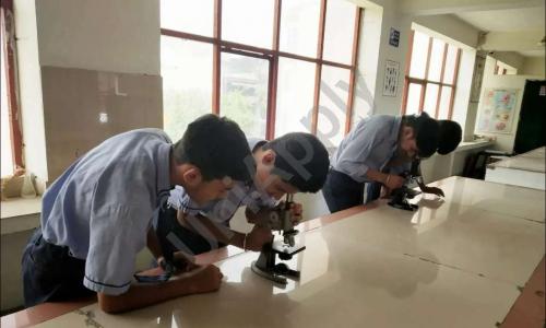 Vishal Bharti Senior Secondary School — photo 2