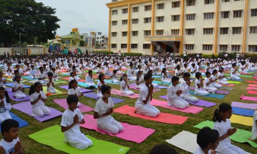 VSS International Public School — photo 10