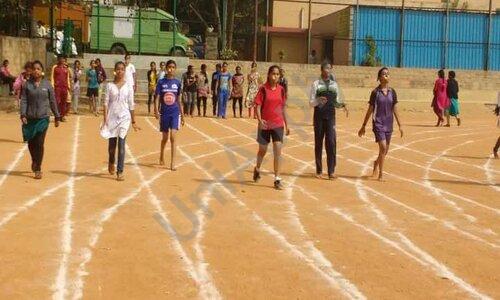 VVN PU College — photo 3