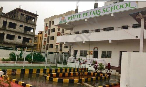 White Petals School — photo 1