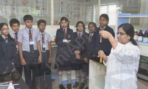Young Scholars Academy — photo 4
